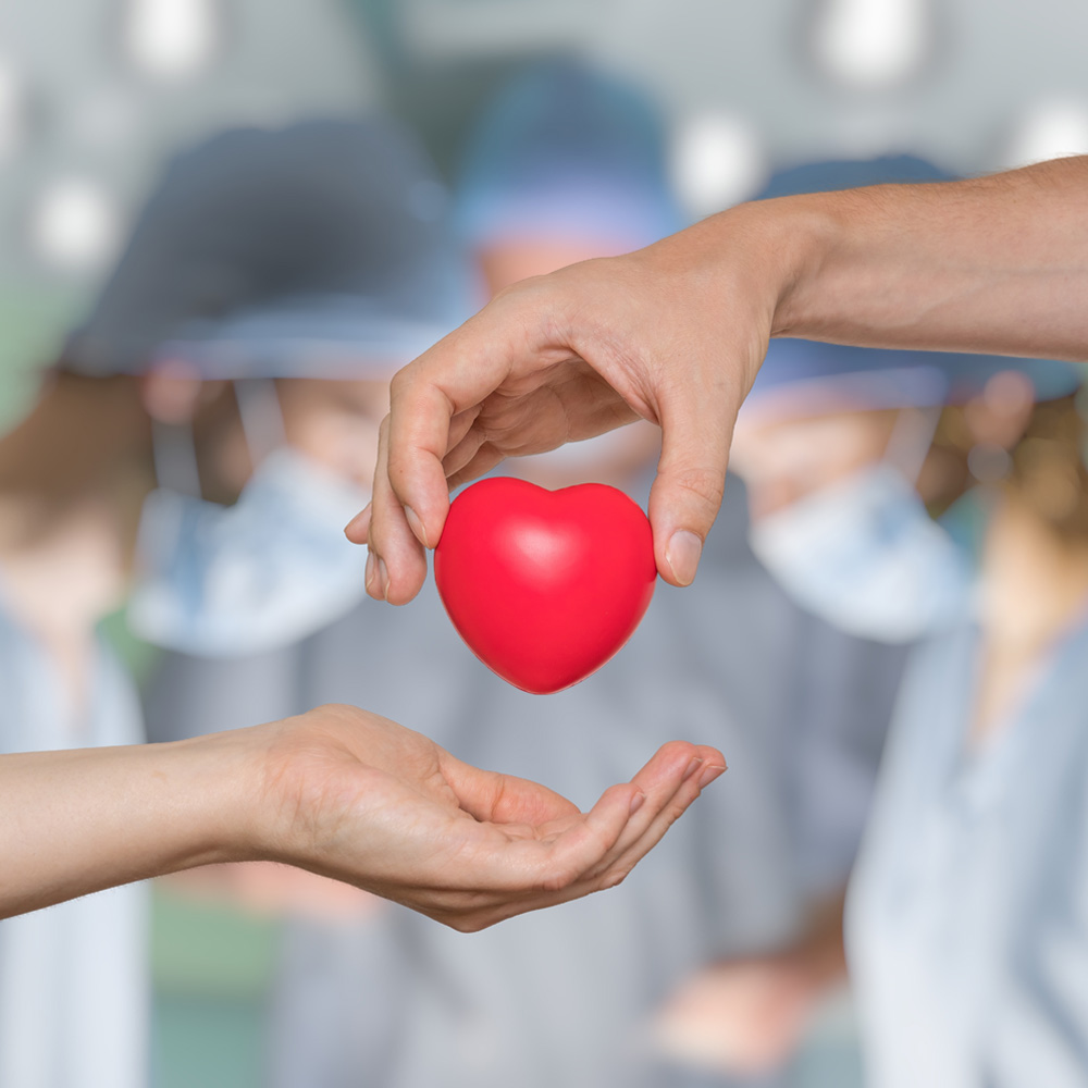 Ny lag avseende organdonation
